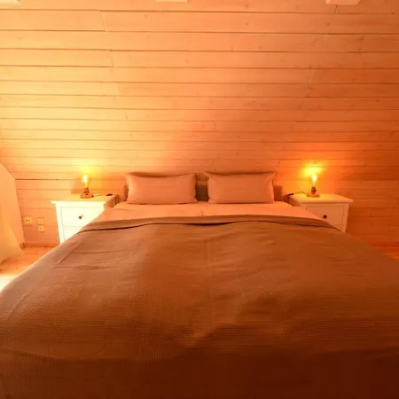 Holiday home Wiekhaus 49 *